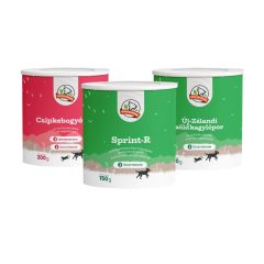 ÍZÜLETVÉDŐ csomag midi