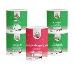 ÍZÜLET PRO ízületvédő csomag normál