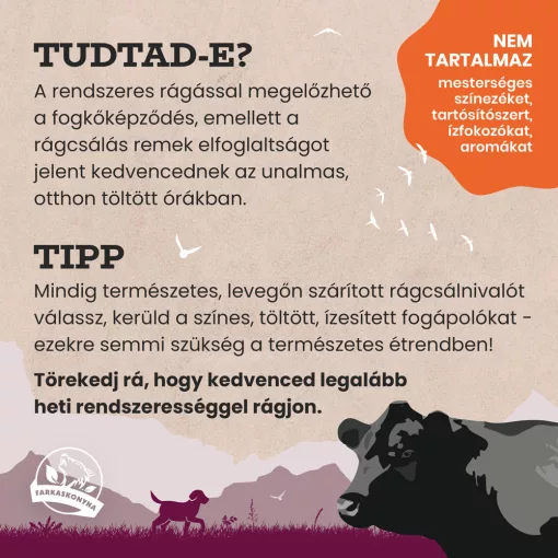 Szőrös marhafül 2db