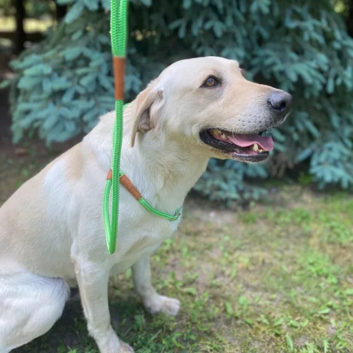 Training póráz lila