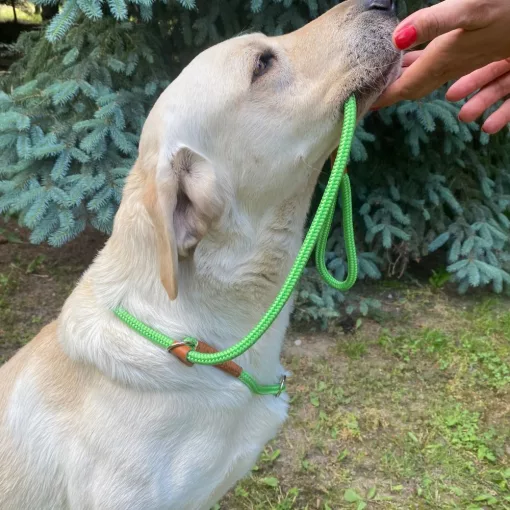 Training póráz lila