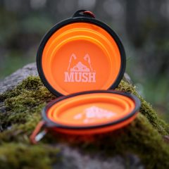 Mush kutya utazótál