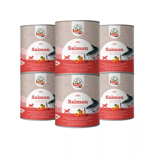 LAZAC párolt komplett menü kutyáknak 6*800g