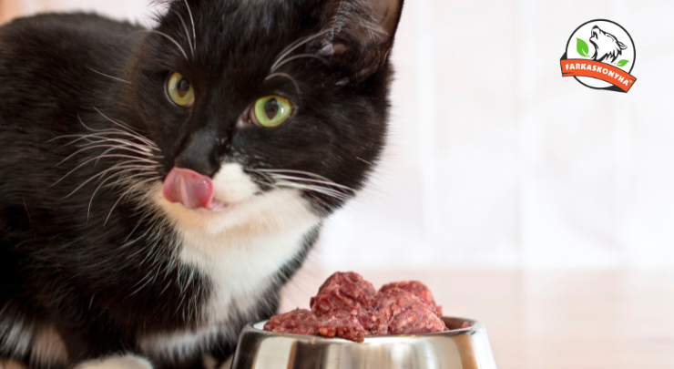 Mush CAT BARF menü praktikus húsgolyó formában